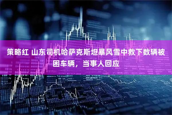 策略红 山东司机哈萨克斯坦暴风雪中救下数辆被困车辆,当事人回应
