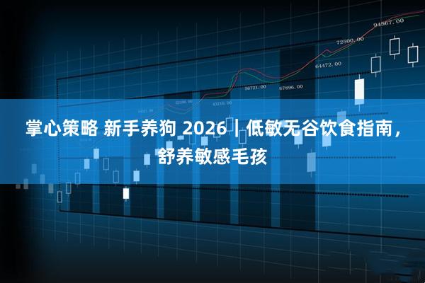 掌心策略 新手养狗 2026｜低敏无谷饮食指南，舒养敏感毛孩