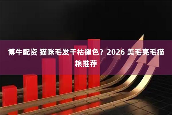 博牛配资 猫咪毛发干枯褪色？2026 美毛亮毛猫粮推荐