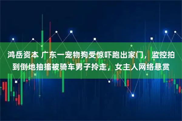 鸿岳资本 广东一宠物狗受惊吓跑出家门，监控拍到倒地抽搐被骑车男子拎走，女主人网络悬赏