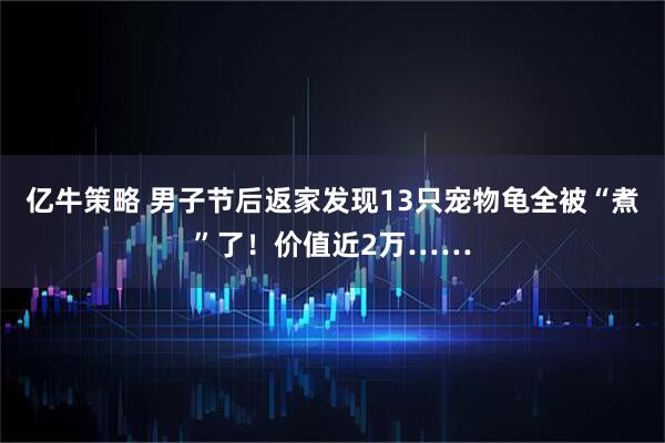 亿牛策略 男子节后返家发现13只宠物龟全被“煮”了!价值近2万……