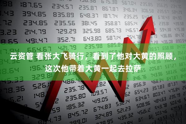 云资管 看张大飞骑行，看到了他对大黄的照顾，这次他带着大黄一起去拉萨