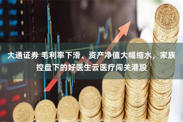 大通证券 毛利率下滑、资产净值大幅缩水，家族控盘下的好医生云医疗闯关港股