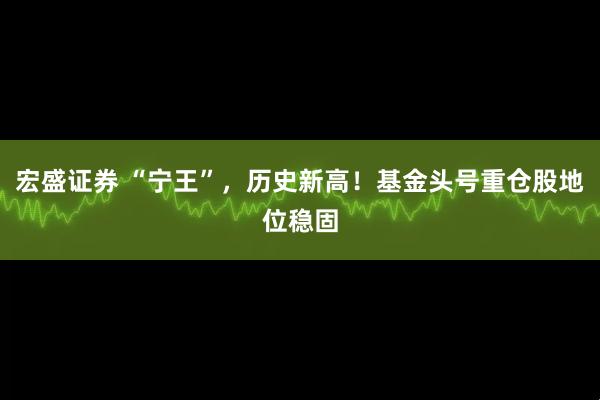 宏盛证券 “宁王”，历史新高！基金头号重仓股地位稳固