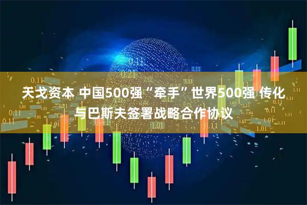 天戈资本 中国500强“牵手”世界500强 传化与巴斯夫签署战略合作协议