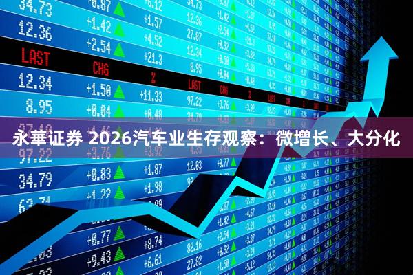 永華证券 2026汽车业生存观察：微增长、大分化