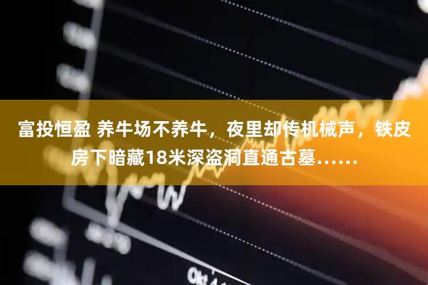 富投恒盈 养牛场不养牛,夜里却传机械声,铁皮房下暗藏18米深盗洞直通古墓……