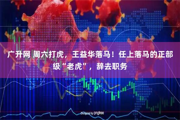 广升网 周六打虎，王益华落马！任上落马的正部级“老虎”，辞去职务