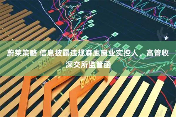 蔚莱策略 信息披露违规森鹰窗业实控人、高管收深交所监管函