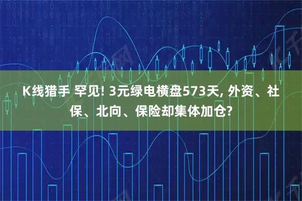 K线猎手 罕见! 3元绿电横盘573天, 外资、社保、北向、保险却集体加仓?