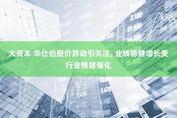 大资本 华仕伯股价异动引关注, 业绩稳健增长受行业情绪催化