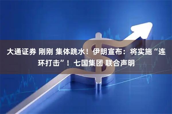 大通证券 刚刚 集体跳水！伊朗宣布：将实施“连环打击”！七国集团 联合声明