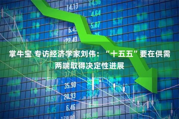掌牛宝 专访经济学家刘伟：“十五五”要在供需两端取得决定性进展