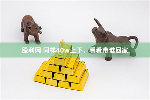 股利网 同样40w上下，看看带谁回家