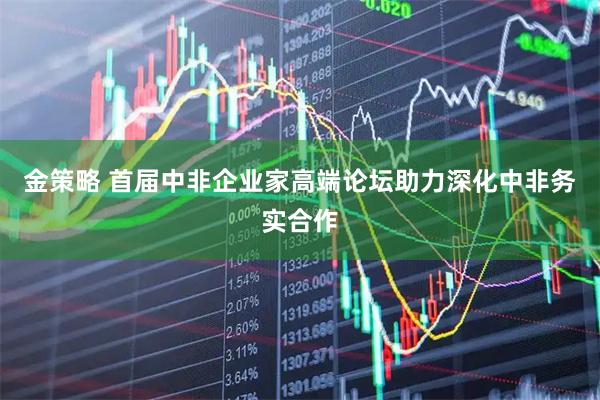 金策略 首届中非企业家高端论坛助力深化中非务实合作