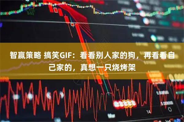 智赢策略 搞笑GIF：看看别人家的狗，再看看自己家的，真想一只烧烤架